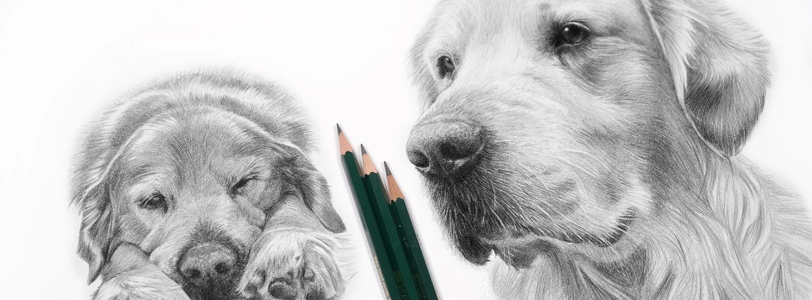 Hand-Drawn Pencil Pet Portraits Hand-drawn pencil portraits by Melanie Phillips.