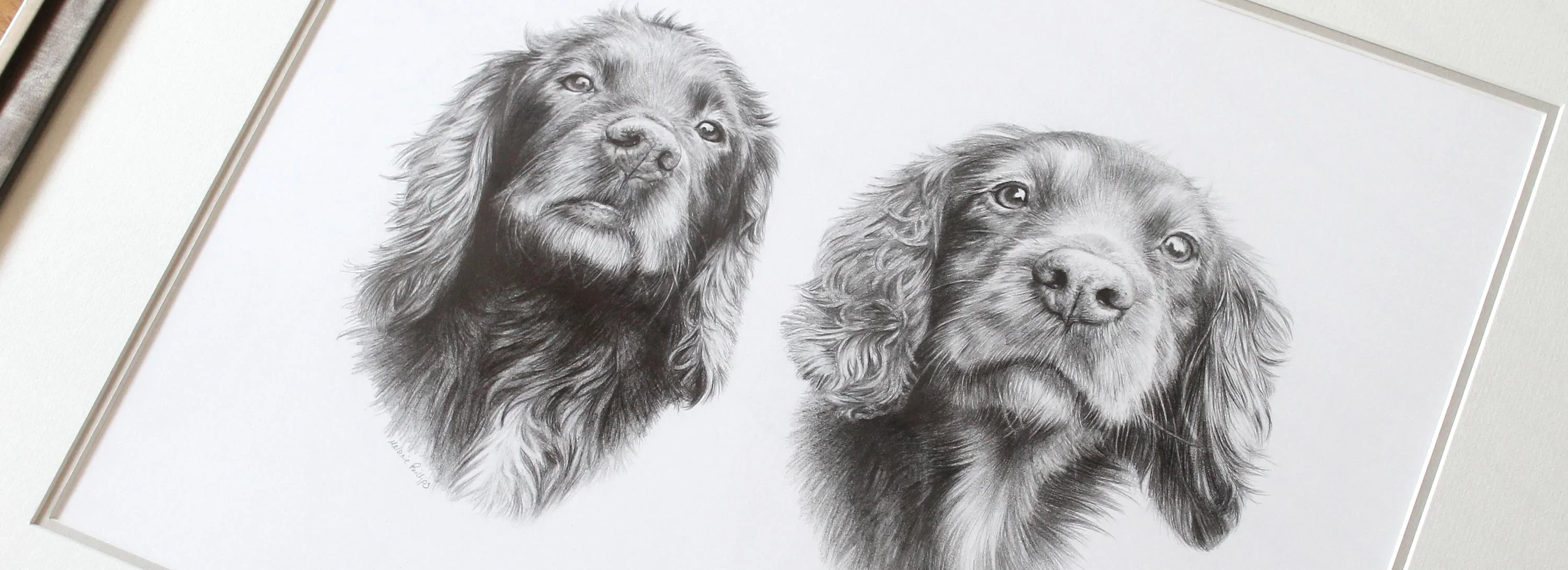 Hand-Drawn Pencil Pet Portraits Hand-drawn pencil portraits by Melanie Phillips.