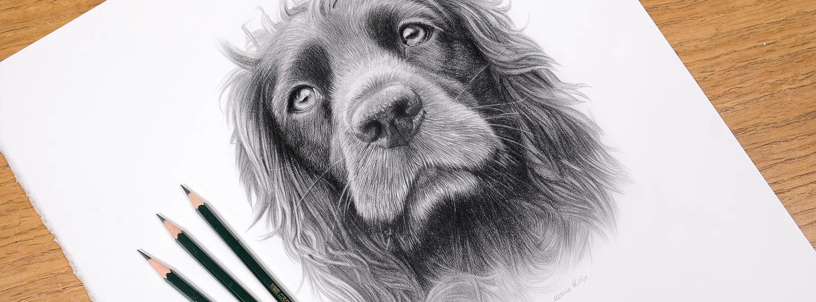 Hand-Drawn Pencil Pet Portraits Hand-drawn pencil portraits by Melanie Phillips.