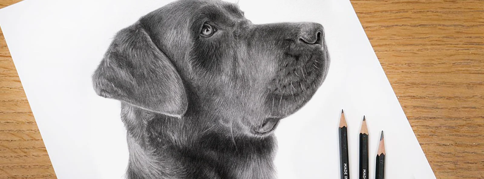 Hand-Drawn Pencil Pet Portraits Hand-drawn pencil portraits by Melanie Phillips.