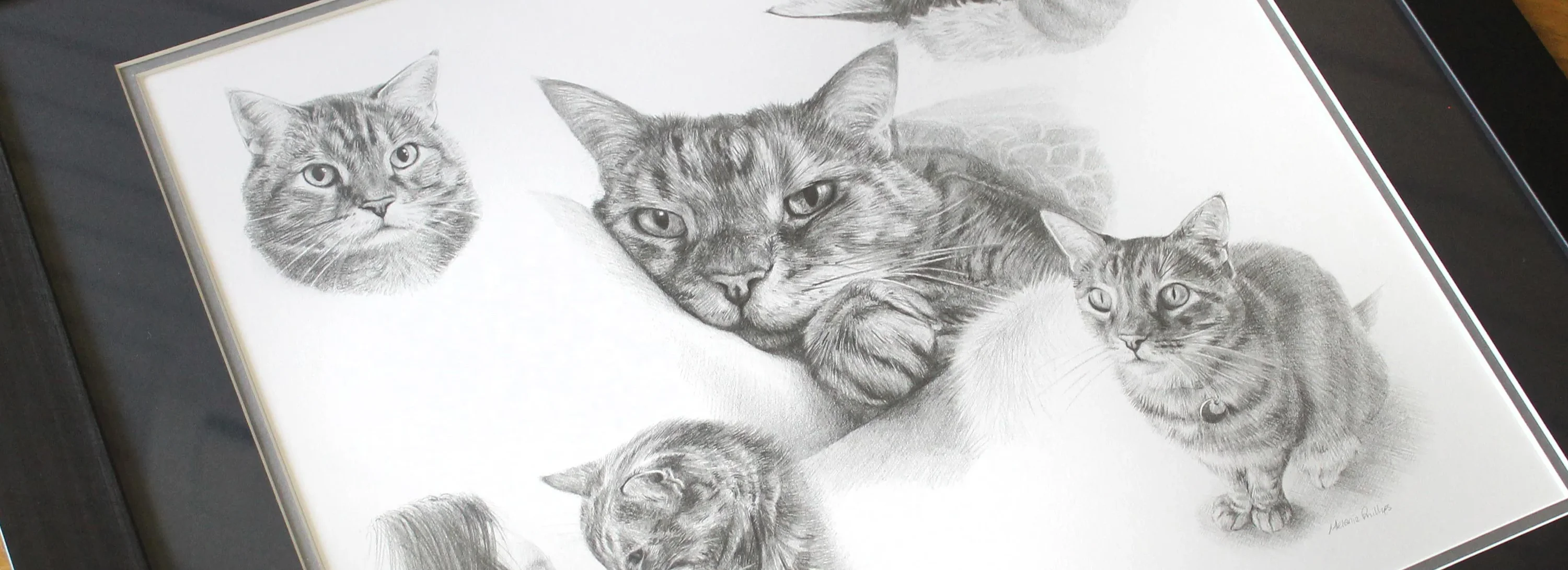 Hand-Drawn Pencil Pet Portraits Hand-drawn pencil portraits by Melanie Phillips.