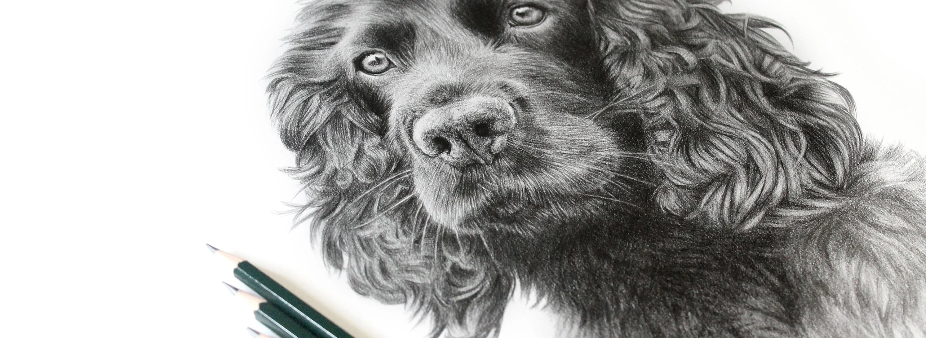 Hand-Drawn Pencil Pet Portraits Hand-drawn pencil portraits by Melanie Phillips.