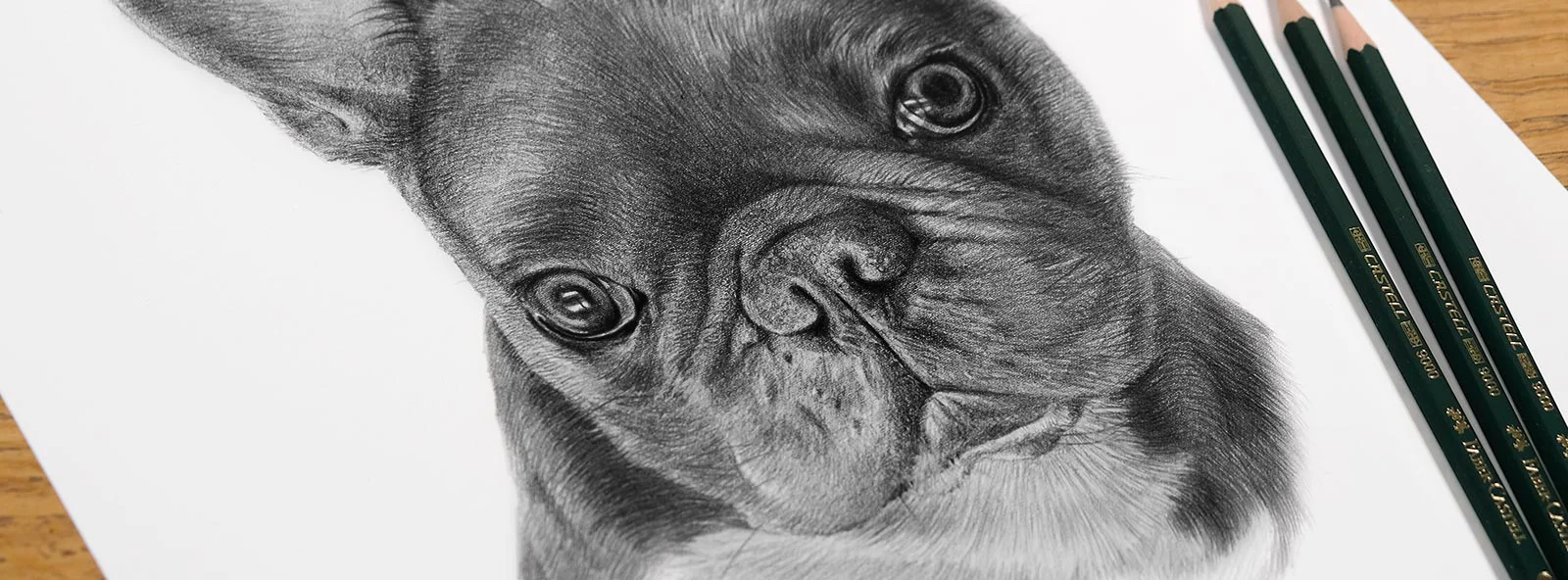 Hand-Drawn Pencil Pet Portraits Hand-drawn pencil portraits by Melanie Phillips.