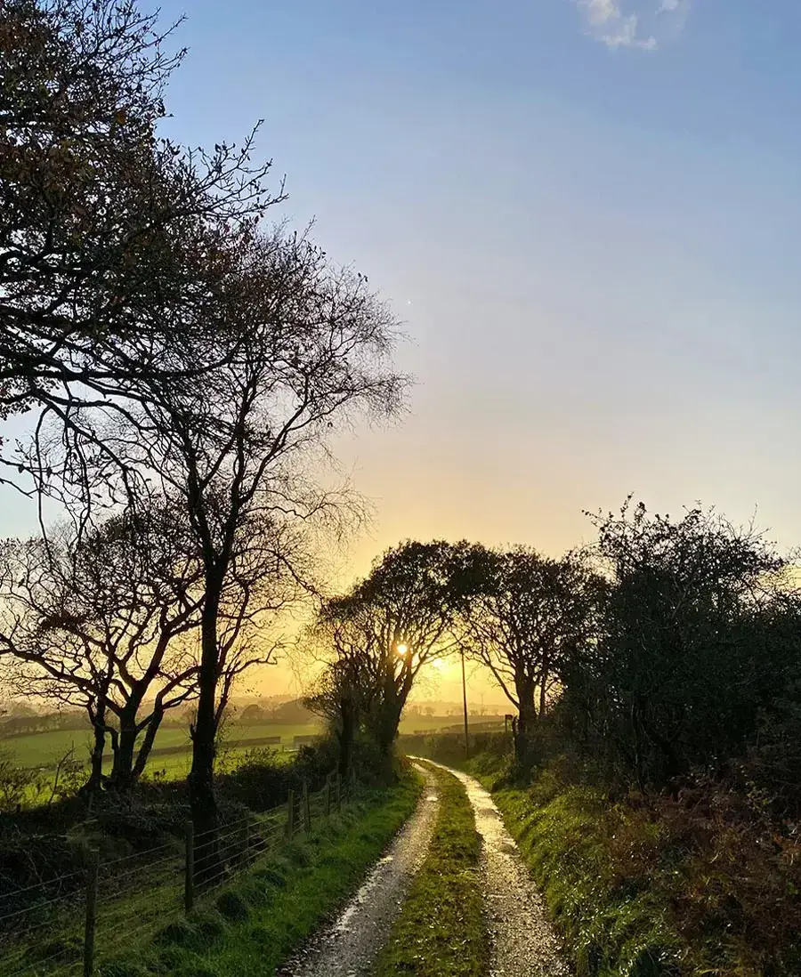Early evening sky in Wales, captured by Melanie Melanie Phillips capturing the vibrant colors of an early evening sky over a rural Welsh landscape.