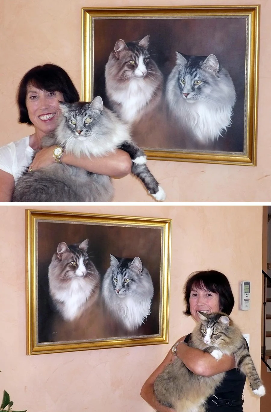Cat Portraits Testimonials