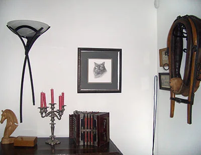 Cat Portraits Testimonials