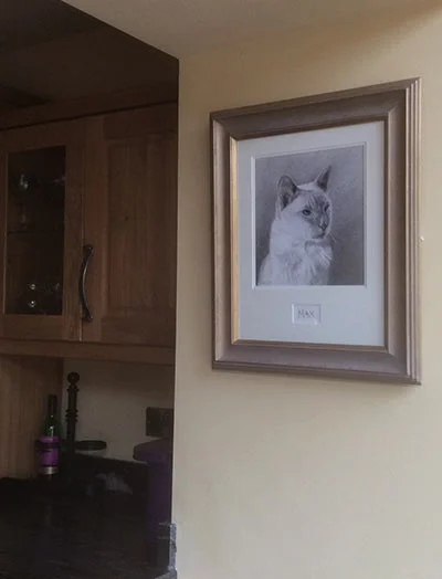 Cat Portraits Testimonials