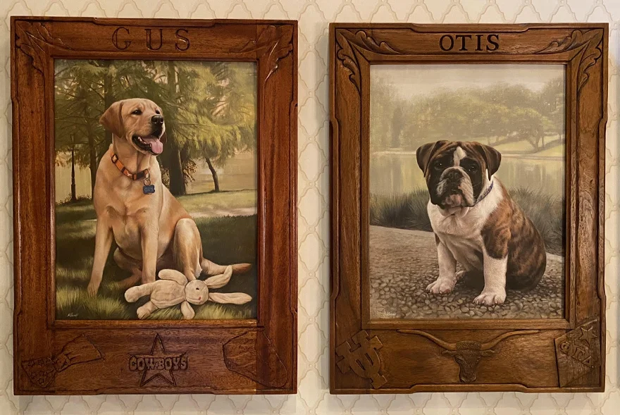 Cat Portraits by Testimonials