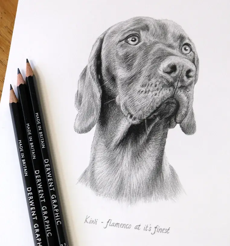 Small Pet Portrait Gift - Perfect for Any Occasion Small 8x6 inch pet portrait gift with elegant presentation